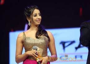 Sardaar Gabbar Singh Movie Audio Launch photo 10