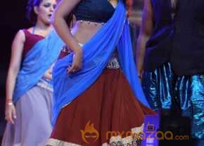 Sardaar Gabbar Singh Movie Audio Launch photo 16