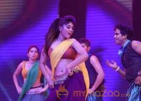 Sardaar Gabbar Singh Movie Audio Launch photo 26