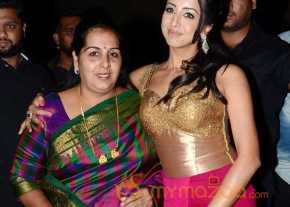 Sardaar Gabbar Singh Movie Audio Launch photo 12