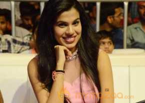 Sardaar Gabbar Singh Movie Audio Launch photo 6