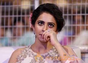 Sarrainodu Movie Audio Success Meet photo 8