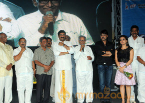 Satruvu Audio Launch Gallery photo 18