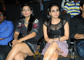 Satruvu Audio Launch Gallery photo 27