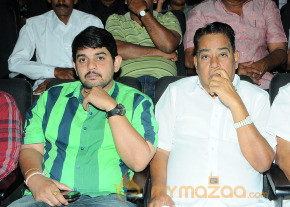 Satruvu Audio Launch Gallery photo 34