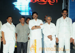 Satruvu Audio Launch Gallery photo 36