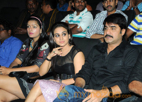Satruvu Audio Launch Gallery photo 13