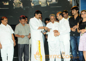 Satruvu Audio Launch Gallery photo 14