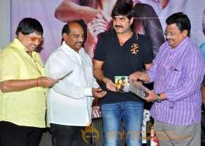 Seenugadi Love Story Audio Launch photo 4