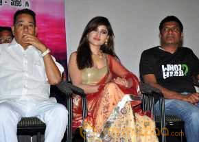 Seenugadi Love Story Audio Launch photo 5