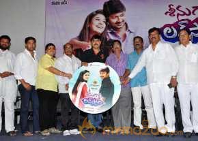 Seenugadi Love Story Audio Launch photo 3