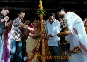 Seethamma Vakitlo Sirimalle Chettu New Photos photo 3