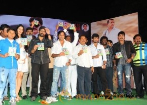 Sevakudu Audio Function photo 8
