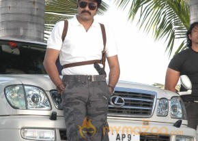 Sevakudu Photo gallery photo 5