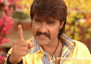 Sevakudu Photo gallery photo 37