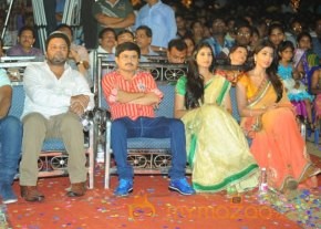 Shriya Pavitra Audio Launch Photos photo 5