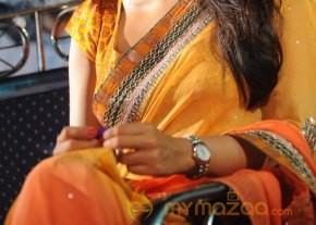 Shriya Pavitra Audio Launch Photos photo 18