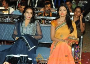 Shriya Pavitra Audio Launch Photos photo 22