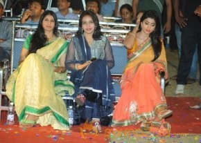 Shriya Pavitra Audio Launch Photos photo 6