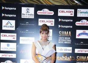SIIMA Awards Day 2 Photos @ Singapore photo 6