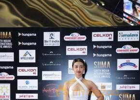 SIIMA Awards Day 2 Photos @ Singapore photo 7