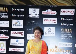 SIIMA Awards Day 2 Photos @ Singapore photo 19
