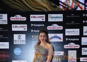 SIIMA Awards Day 2 Photos @ Singapore photo 20