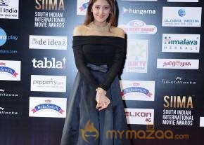 SIIMA Awards Day 2 Photos @ Singapore photo 24