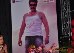 Siva Kesav Audio Launch Photos photo 4