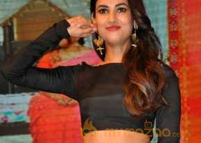 Size Zero Movie Audio Launch photo 8