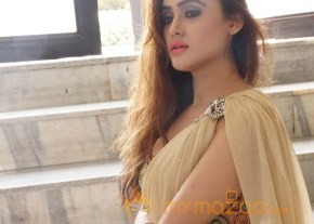 Sony Charishta at Aura Exhibition Launch photos photo 8
