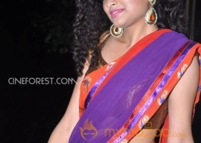 Soumya Sukumar Stills in Saree photo 28
