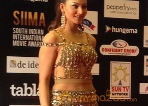 South India Celebrities at SIIMA 2016 Awards photo 9