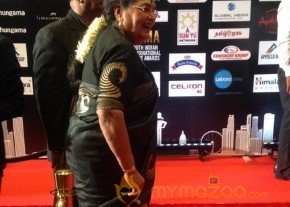 South India Celebrities at SIIMA 2016 Awards photo 12