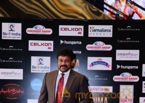 South India Celebrities at SIIMA 2016 Awards photo 15