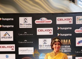 South India Celebrities at SIIMA 2016 Awards photo 33