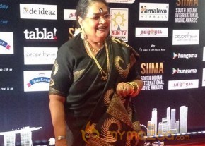South India Celebrities at SIIMA 2016 Awards photo 3