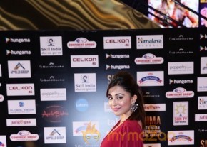 South India Celebrities at SIIMA 2016 Awards photo 42