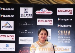 South India Celebrities at SIIMA 2016 Awards photo 46