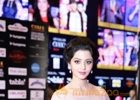 South India Celebrities at SIIMA 2016 Awards photo 47
