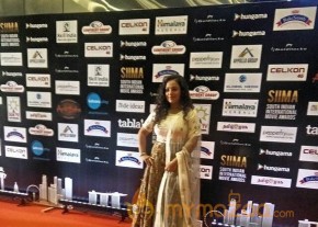 South India Celebrities at SIIMA 2016 Awards photo 4
