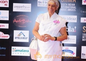 South India Celebrities at SIIMA 2016 Awards photo 50