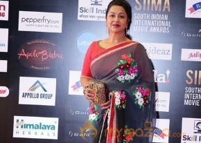 South India Celebrities at SIIMA 2016 Awards photo 52