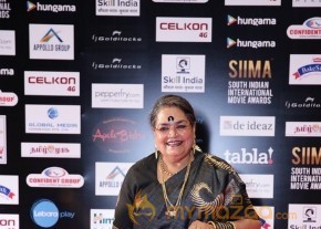 South India Celebrities at SIIMA 2016 Awards photo 53