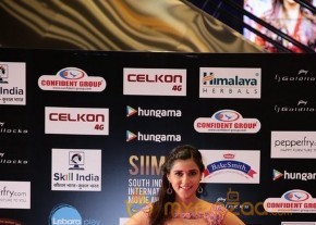South India Celebrities at SIIMA 2016 Awards photo 55