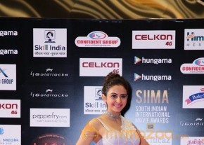 South India Celebrities at SIIMA 2016 Awards photo 56
