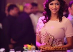 South Indian Business Achievers Awards Photos