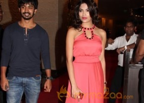 South Stars At SIIMA Awards 2013 photo 62