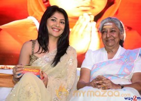 Sri Jagadguru Adi Shankara Movie Audio Launch Gallery  photo 111