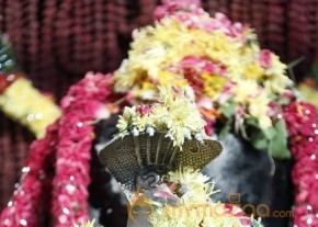 Sri Jagadguru Adi Shankara Movie Audio Launch Gallery  photo 134